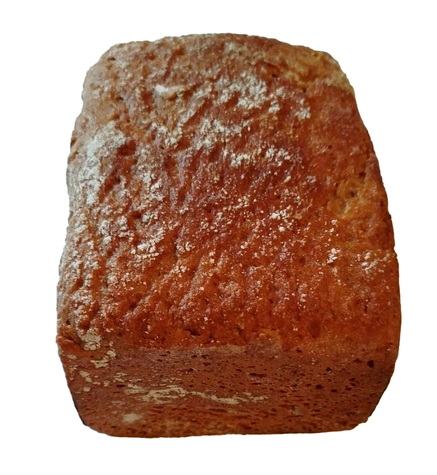 salvaje Centeno Salvaje Molde - Entero